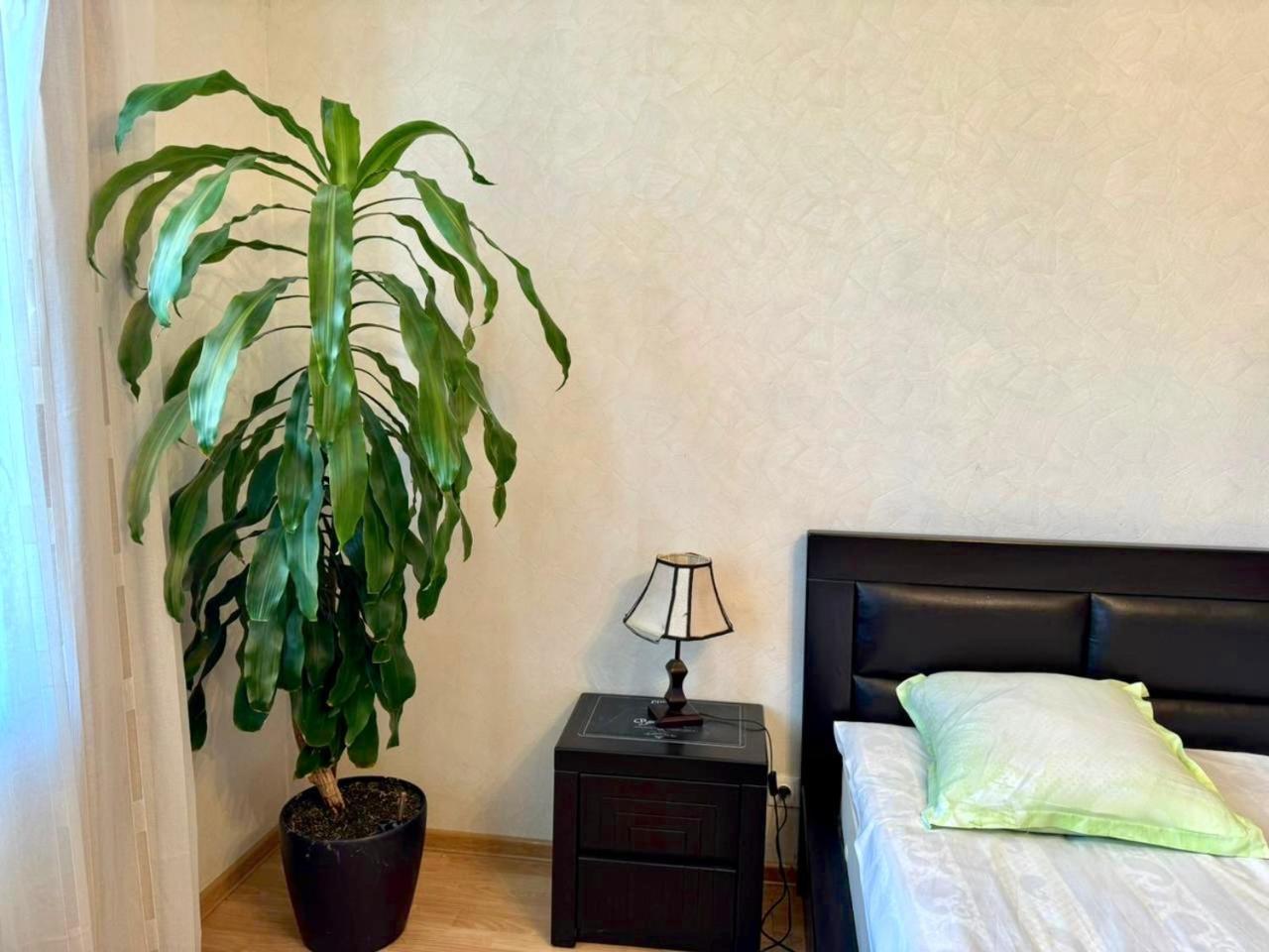 Home Inn-Guesthouse Лагодехи Екстериор снимка